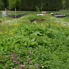 DSC07521.JPG