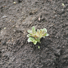 DSC07523.JPG
