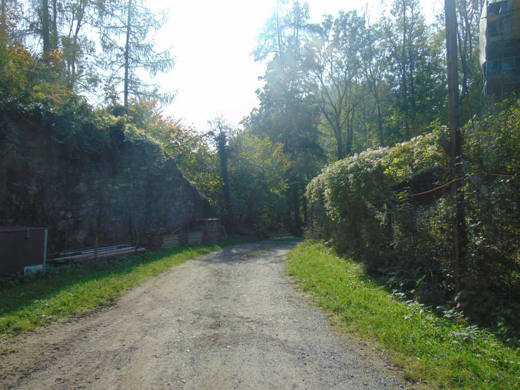 DSC01030.JPG