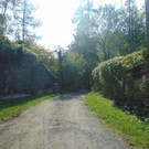 DSC01030.JPG