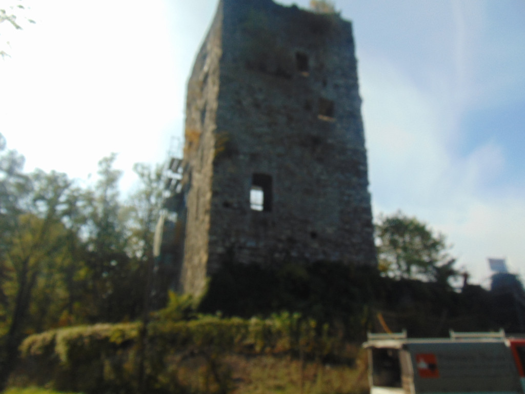 DSC01031.JPG