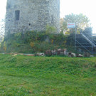 DSC01032.JPG
