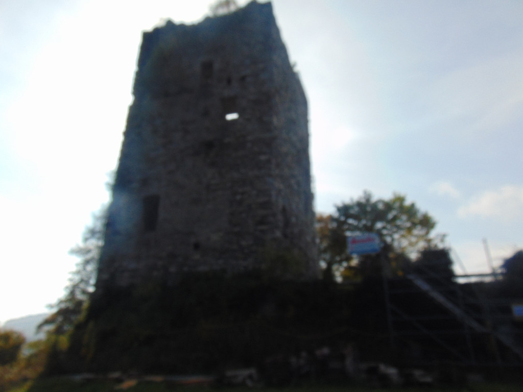 DSC01033.JPG