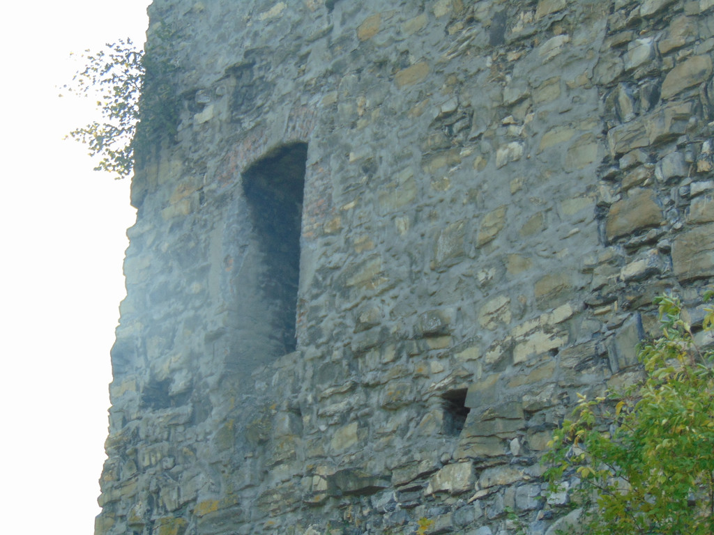 DSC01036.JPG