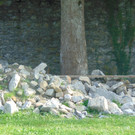 DSC01038.JPG