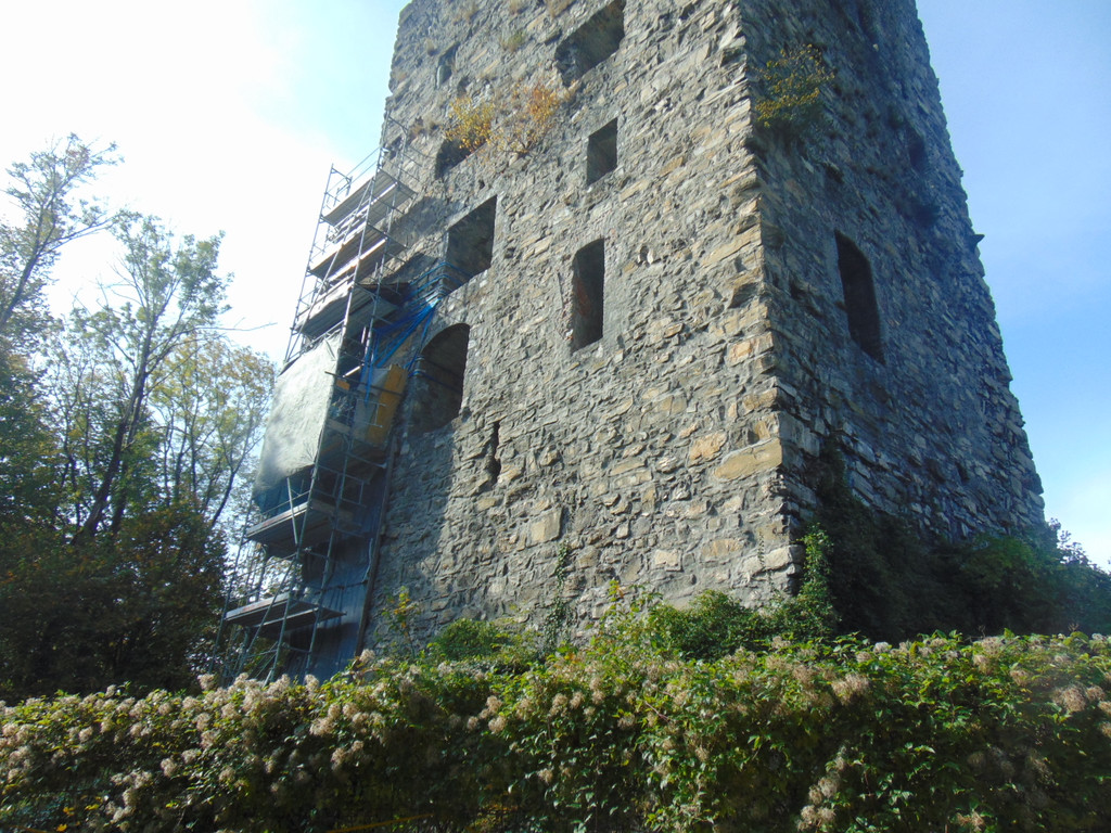 DSC01040.JPG