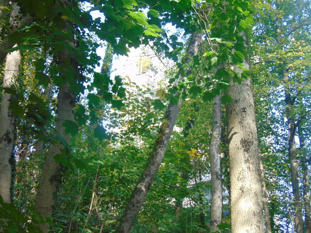 DSC01042.JPG
