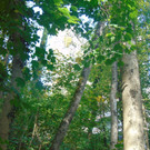 DSC01042.JPG