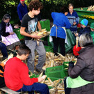 DSC_0156a f Gemeindeblatt.jpg