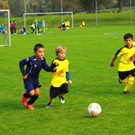 IMG_5713.jpg
