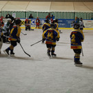 DSC_0028.JPG