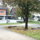 DSC01048.JPG