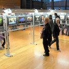 Markt 10-10-2015 215.jpg