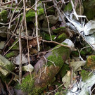 Bilder der Kriegsrelikte