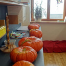 Kürbisprämierung 2015