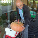 ogv20151012034399.jpeg