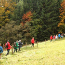 IMG_2006A.jpg