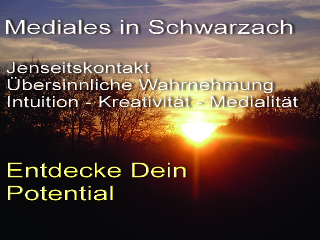 WS_Mediales in Schwarzach.jpg