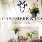 Cashmere & Co: Shop-Eröffnung in Wien