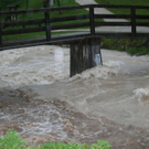 normal_020620101800uhrwasserrlaktivnews_20_11_.jpg