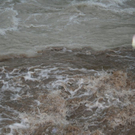 normal_020620101800uhrwasserrlaktivnews_20_24_.jpg
