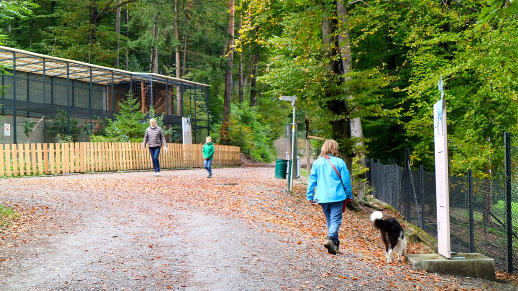 KOE_Wildpark Oktober 2015 5.jpg
