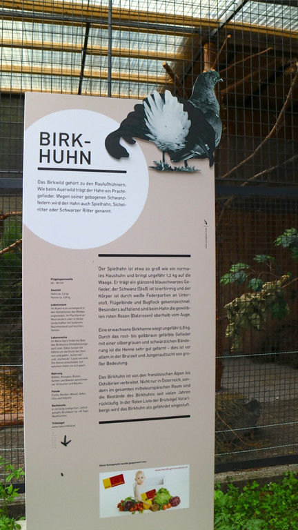 KOE_Wildpark Oktober 2015 7.jpg