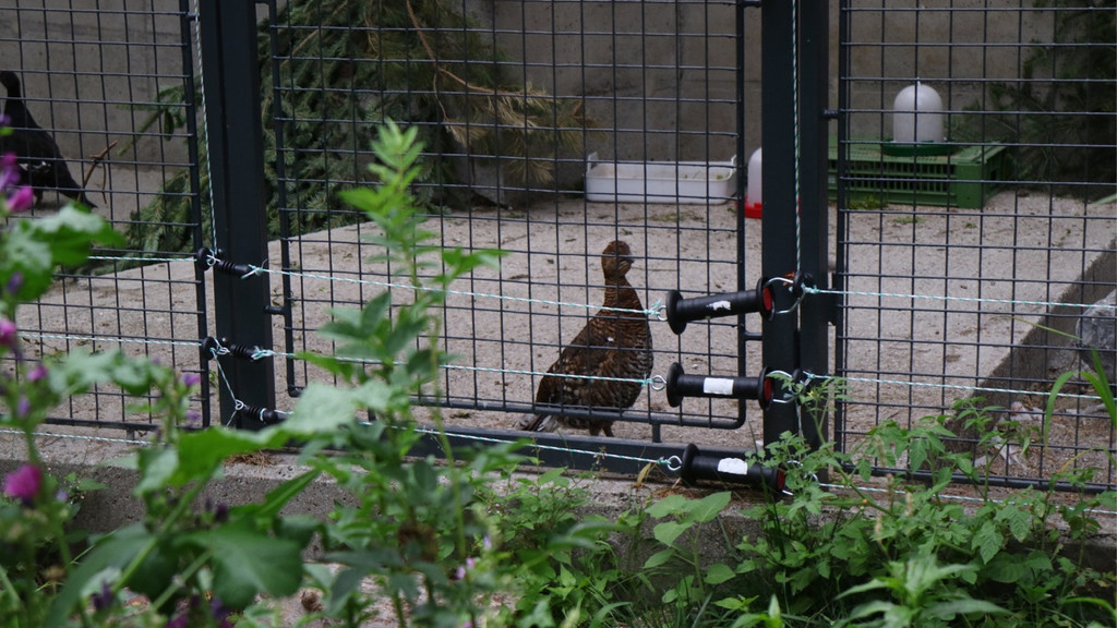 KOE_Wildpark Oktober 2015 9.jpg