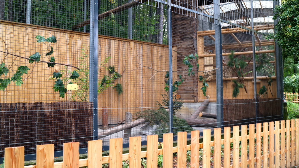 KOE_Wildpark Oktober 2015 11.jpg