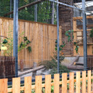 KOE_Wildpark Oktober 2015 11.jpg