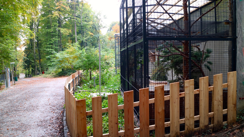 KOE_Wildpark Oktober 2015 12.jpg