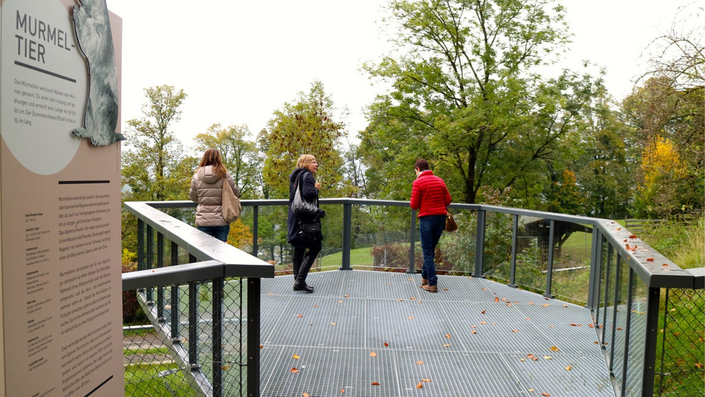 KOE_Wildpark Oktober 2015 13.jpg