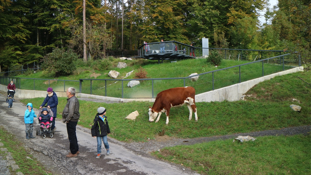 KOE_Wildpark Oktober 2015 14.jpg