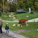 KOE_Wildpark Oktober 2015 14.jpg