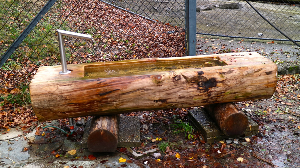 KOE_Wildpark Oktober 2015 16.jpg