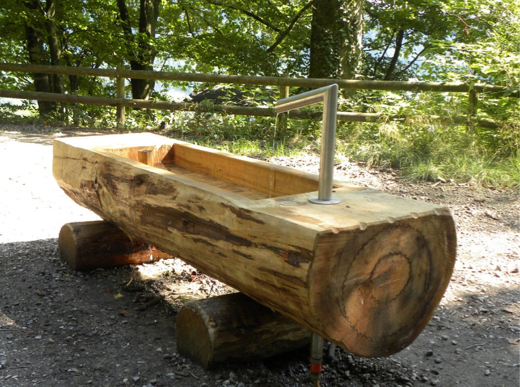 KOE_Wildpark Oktober 2015 17.jpg