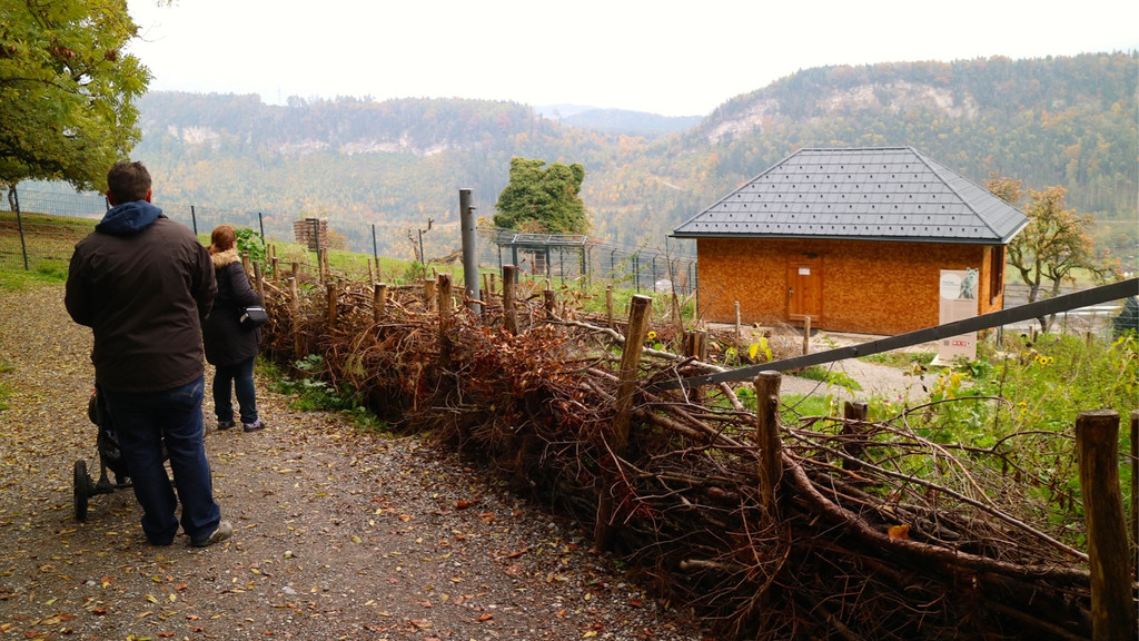 KOE_Wildpark Oktober 2015 20.jpg