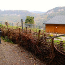 KOE_Wildpark Oktober 2015 20.jpg