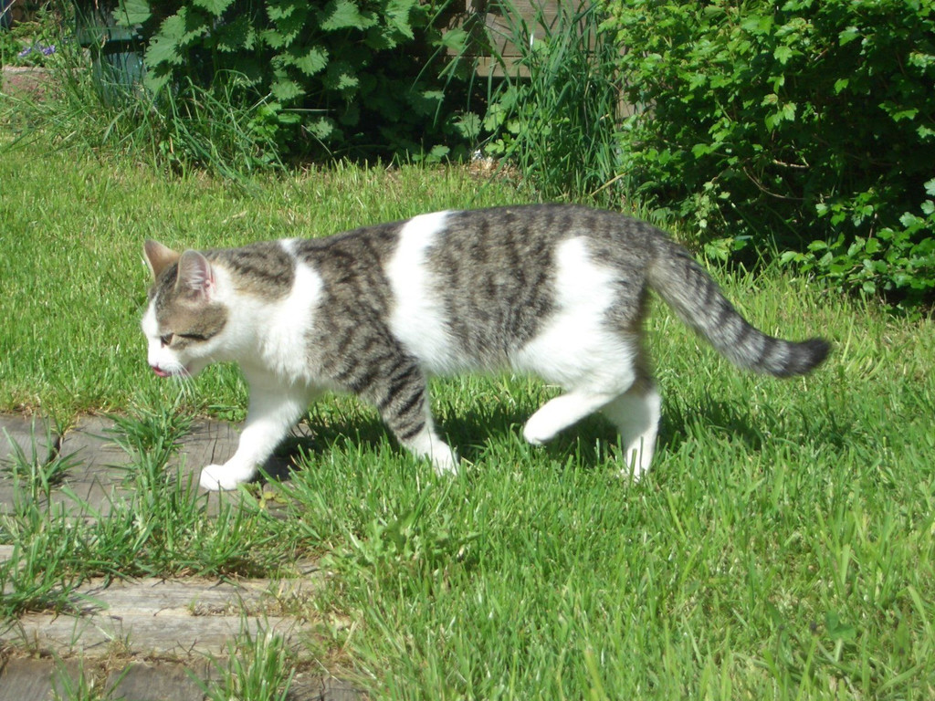 CIMG8814.JPG