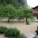 normal_030620101000uhrwasser3rlaktivnews_20_21_.jpg