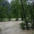 normal_030620101000uhrwasser3rlaktivnews_20_23_.jpg