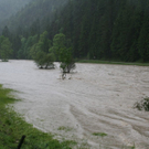 normal_030620101000uhrwasser3rlaktivnews_20_38_.jpg