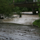 normal_030620101000uhrwasser3rlaktivnews_20_5_.jpg