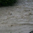 normal_030620101000uhrwasser3rlaktivnews_20_55_.jpg