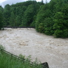 normal_030620101000uhrwasser3rlaktivnews_20_60_.jpg