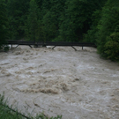 normal_030620101000uhrwasser3rlaktivnews_20_65_.jpg
