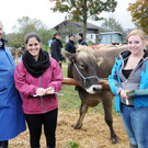 Viehfest Ho__chst 16-10-2015 53.jpg