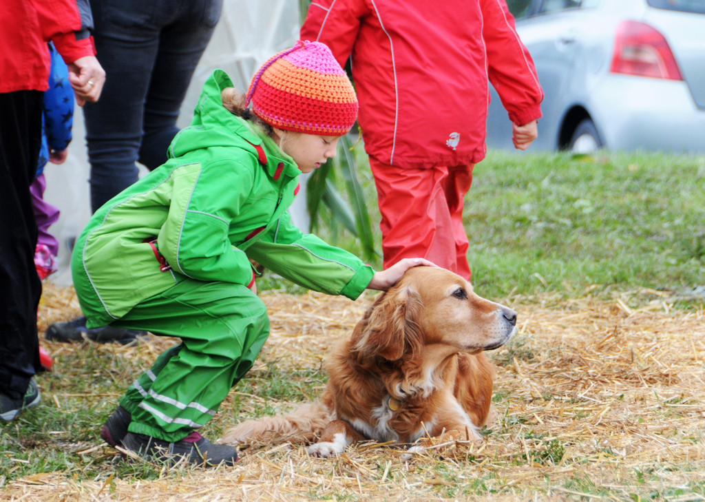 Viehfest Ho__chst 16-10-2015 82.jpg