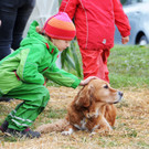 Viehfest Ho__chst 16-10-2015 82.jpg