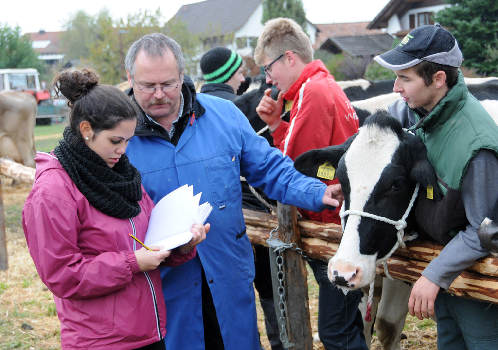 Viehfest Ho__chst 16-10-2015 105.jpg